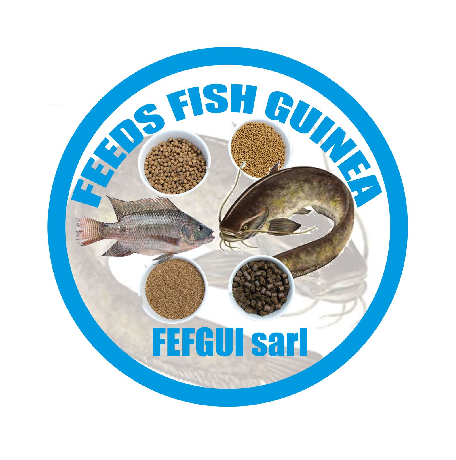 FEEDS FISH GUINEA
